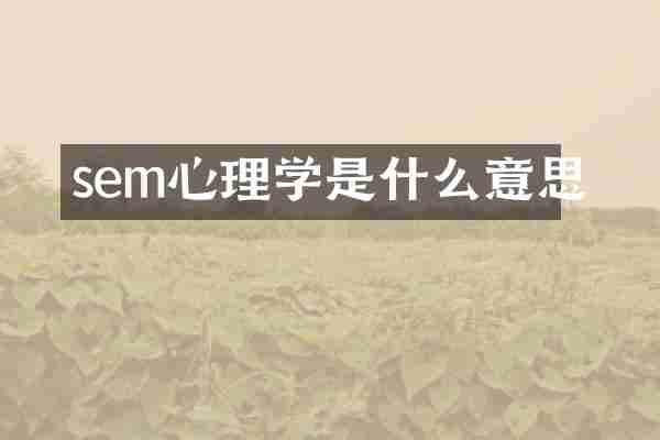 sem心理学是什么意思