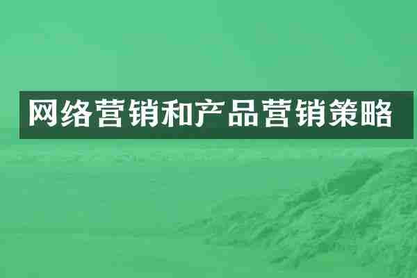 网络营销和产品营销策略