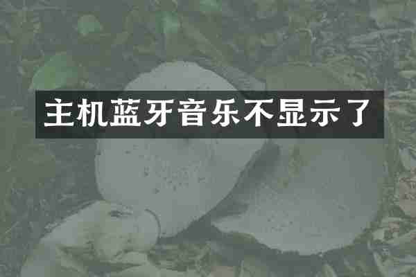 主机蓝牙音乐不显示了