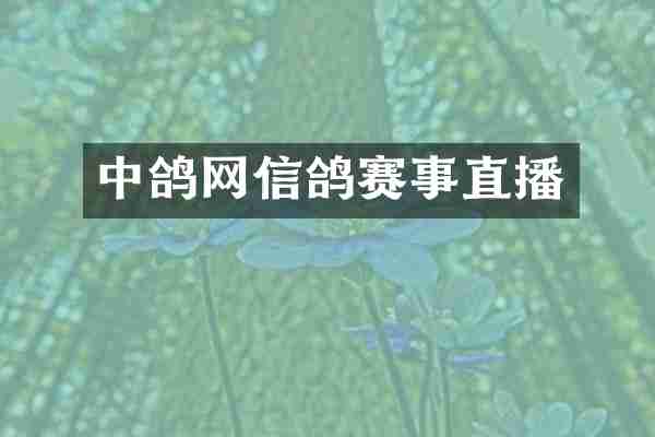 中鸽网信鸽赛事直播