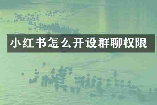 小红书怎么开设群聊权限