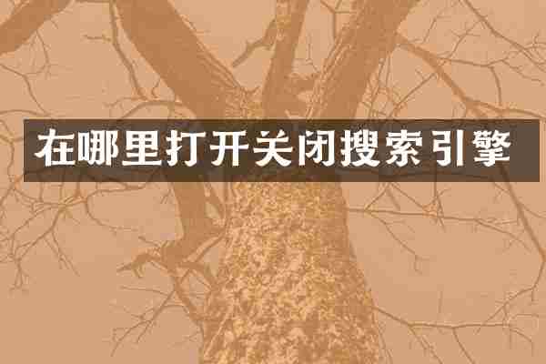 在哪里打开关闭搜索引擎