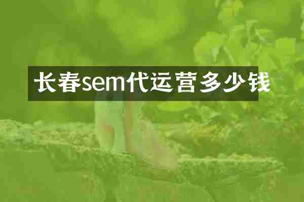 长春sem代运营多少钱