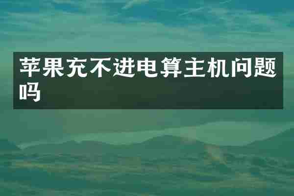 苹果充不进电算主机问题吗