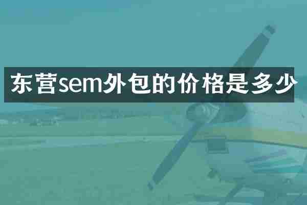 东营sem外包的价格是多少
