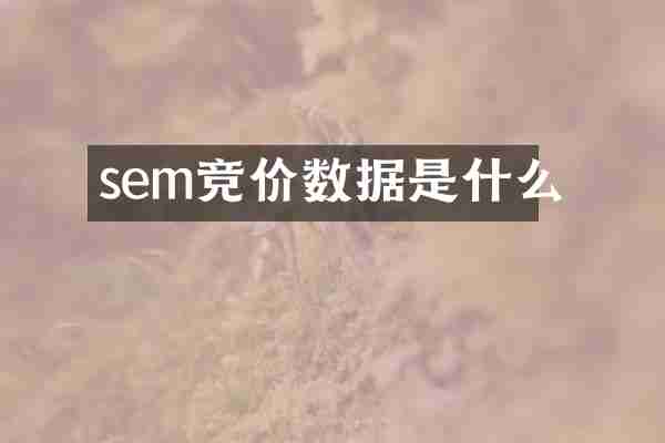 sem竞价数据是什么