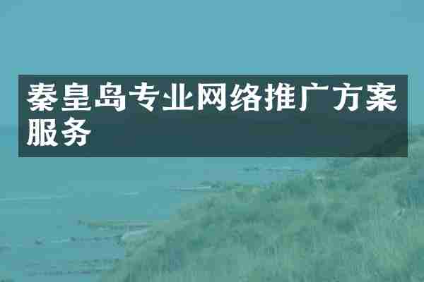 秦皇岛专业网络推广方案服务