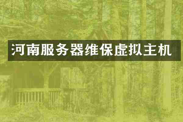河南服务器维保虚拟主机