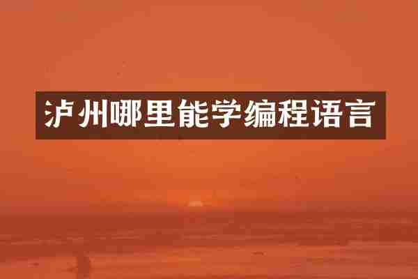 泸州哪里能学编程语言