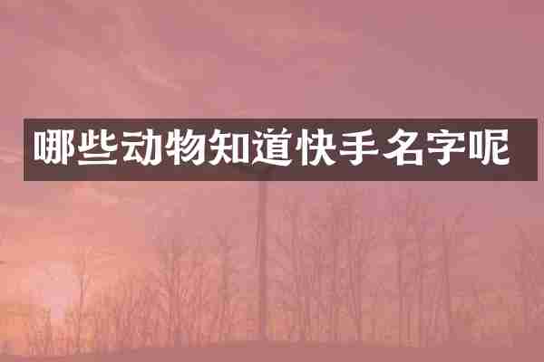 哪些动物知道快手名字呢