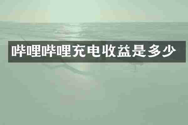 哔哩哔哩充电收益是多少