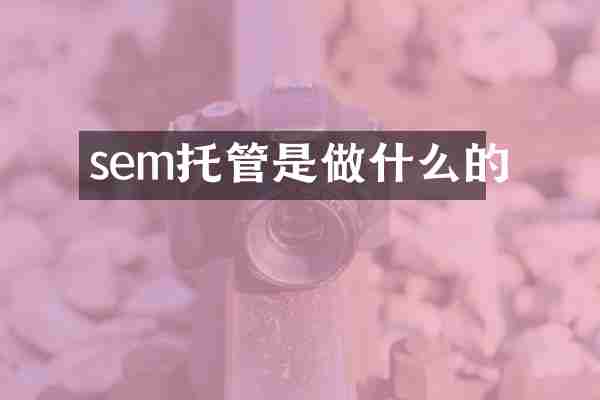 sem托管是做什么的