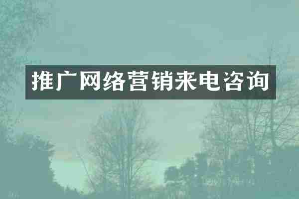 推广网络营销来电咨询