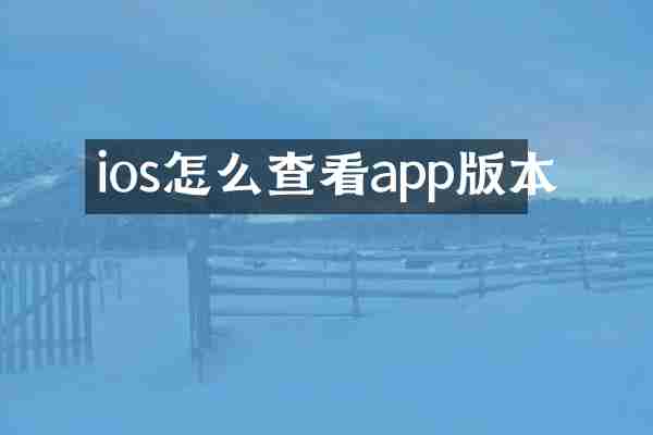 ios怎么查看app版本