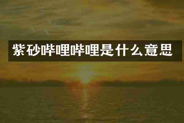 紫砂哔哩哔哩是什么意思