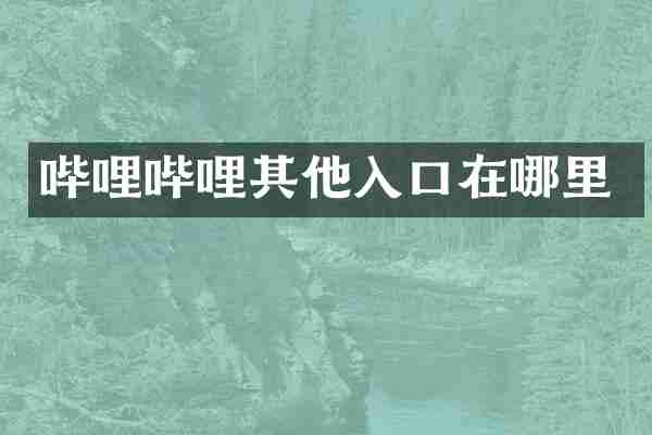 哔哩哔哩其他入口在哪里