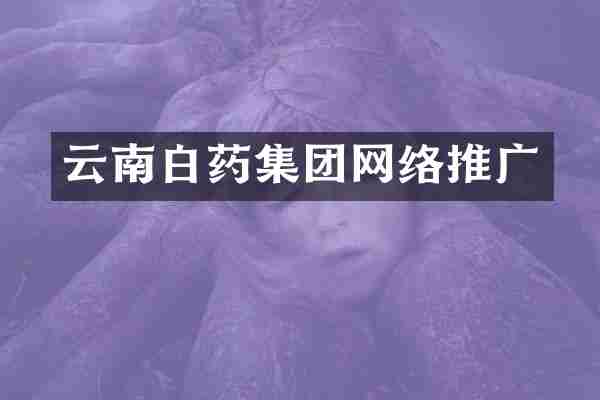 云南白药集团网络推广