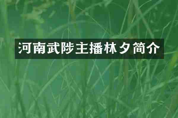 河南武陟主播林夕简介