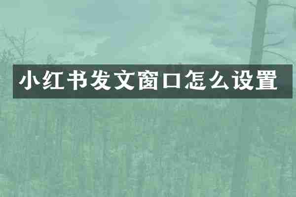 小红书发文窗口怎么设置