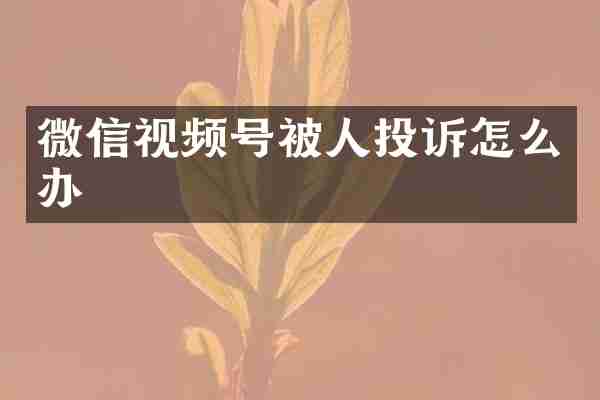 微信视频号被人投诉怎么办