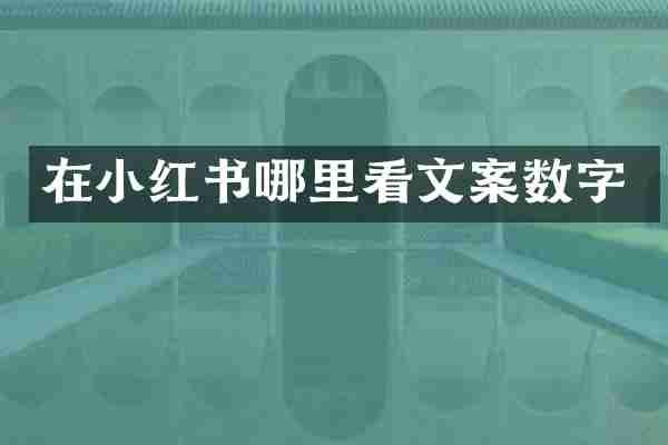 在小红书哪里看文案数字
