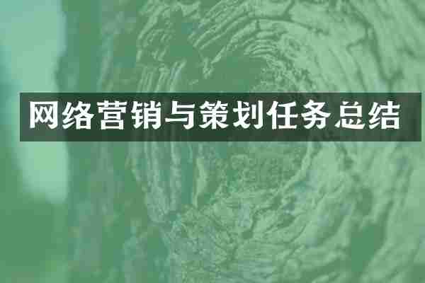 网络营销与策划任务总结