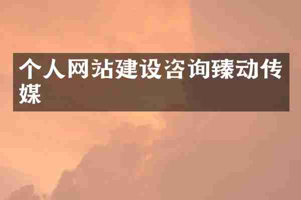 个人网站建设咨询臻动传媒
