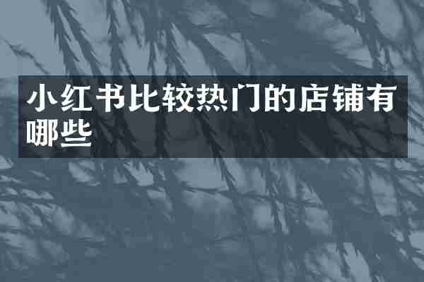 小红书比较热门的店铺有哪些