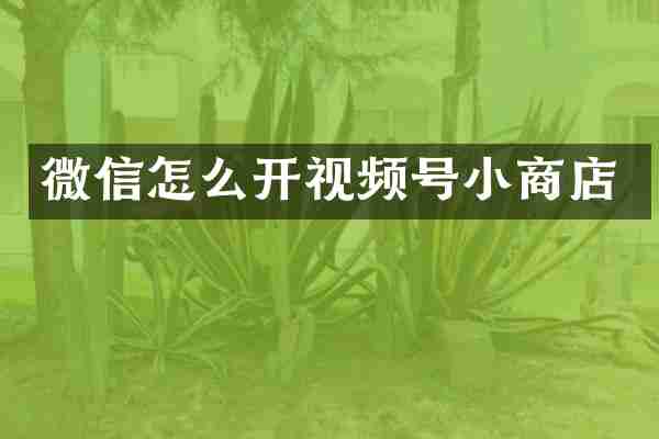 微信怎么开视频号小商店