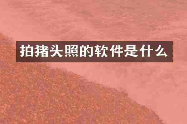 拍猪头照的软件是什么