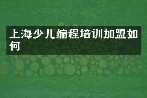 上海少儿编程培训加盟如何