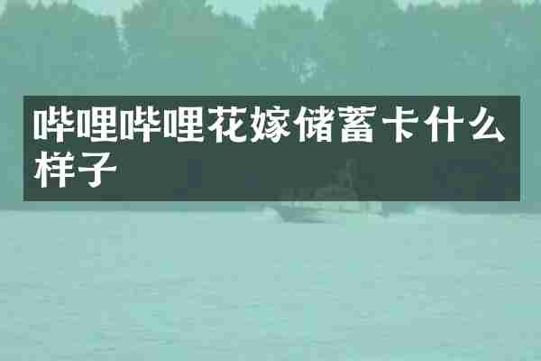 哔哩哔哩花嫁储蓄卡什么样子