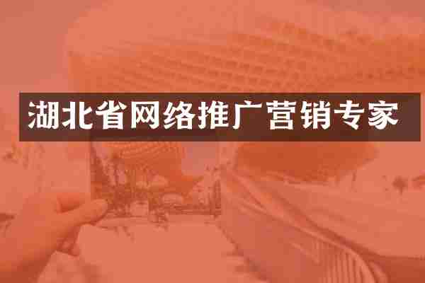 湖北省网络推广营销专家