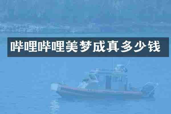 哔哩哔哩美梦成真多少钱