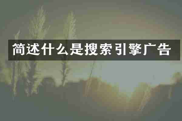 简述什么是搜索引擎广告