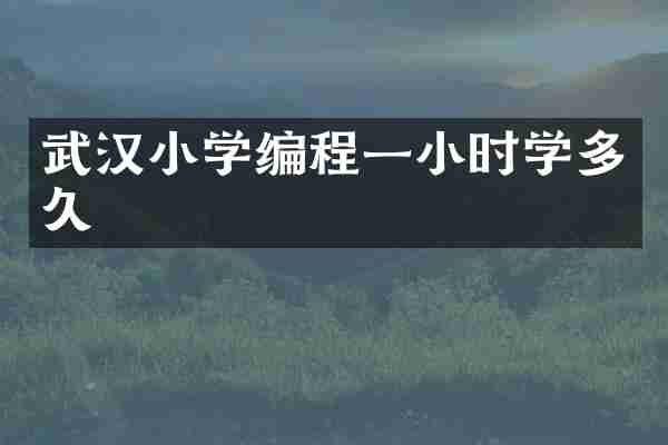 武汉小学编程一小时学多久