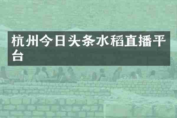 杭州今日头条水稻直播平台