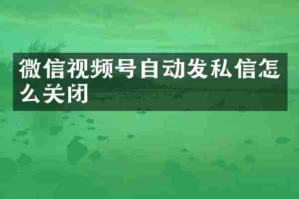 微信视频号自动发私信怎么关闭