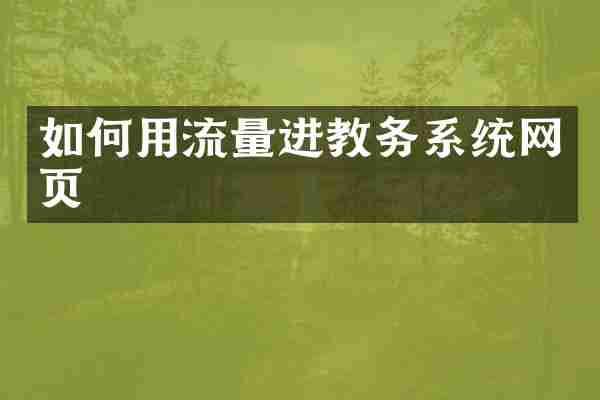 如何用流量进教务系统网页
