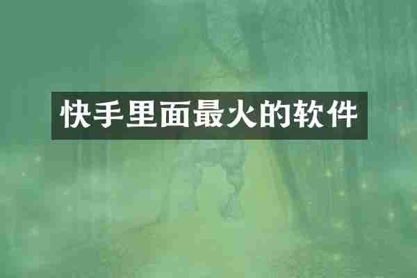 快手里面最火的软件