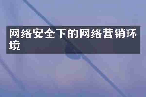 网络安全下的网络营销环境