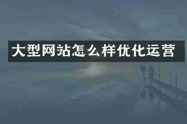 大型网站怎么样优化运营