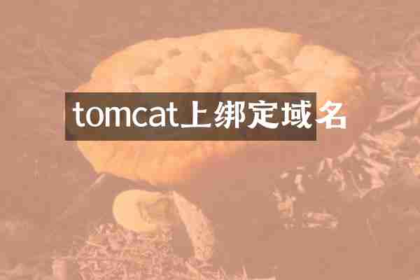 tomcat上绑定域名