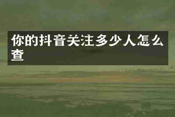 你的抖音关注多少人怎么查