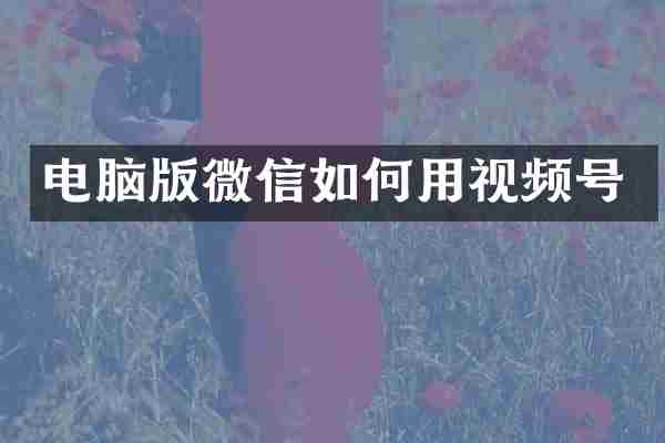 电脑版微信如何用视频号
