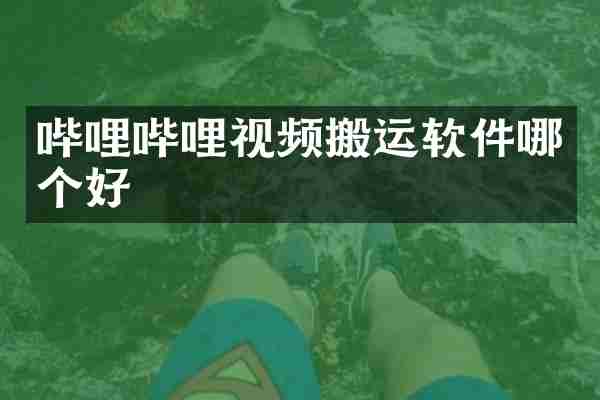 哔哩哔哩视频搬运软件哪个好