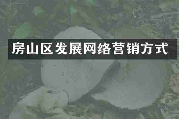 房山区发展网络营销方式