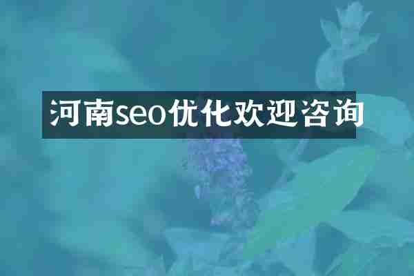 河南seo优化欢迎咨询