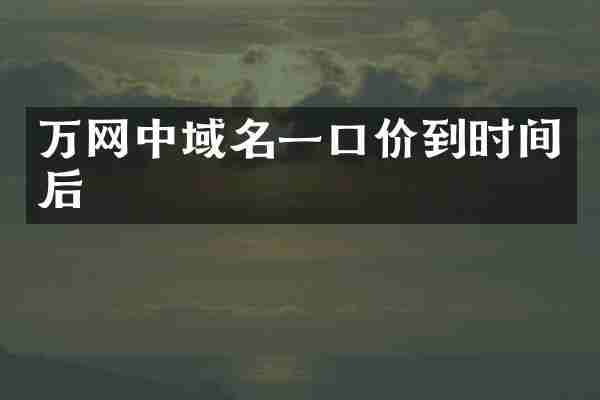 万网中域名一口价到时间后
