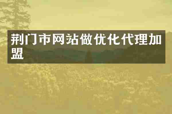 荆门市网站做优化代理加盟